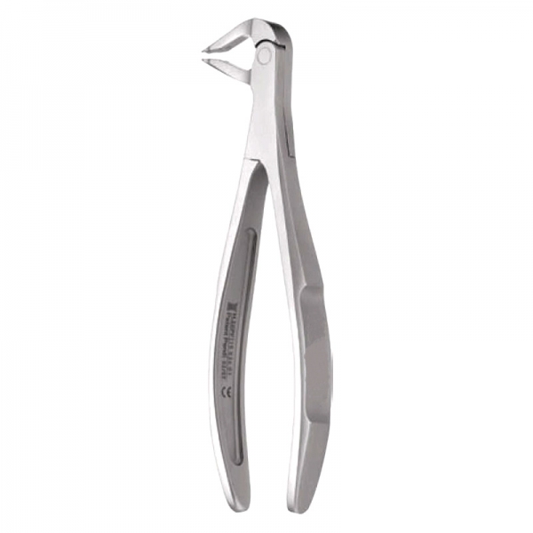 Anterior Forceps