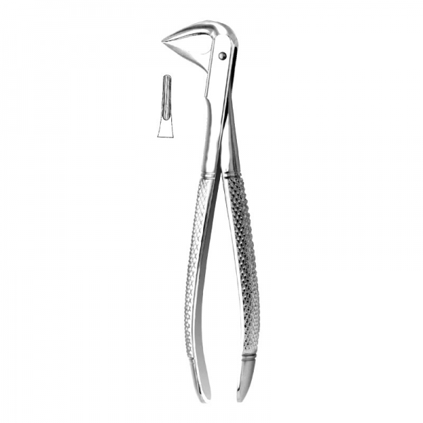 English Pattern Forceps