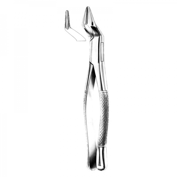 Root Forceps