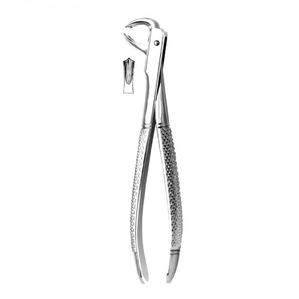 English Pattern Forceps