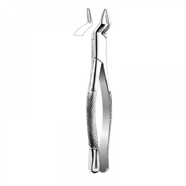 Root Forceps