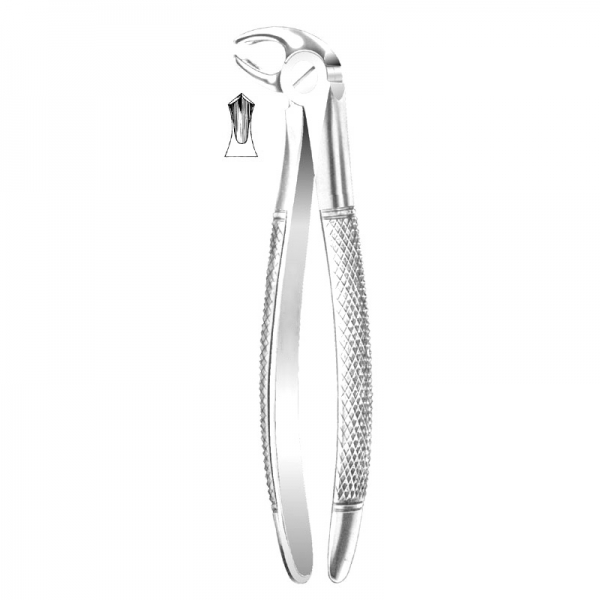 English Pattern Forceps