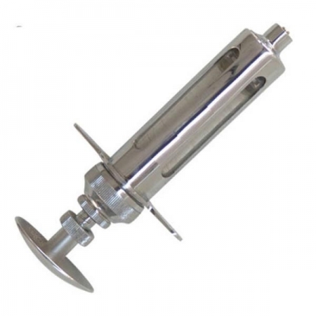 Champion type syringe