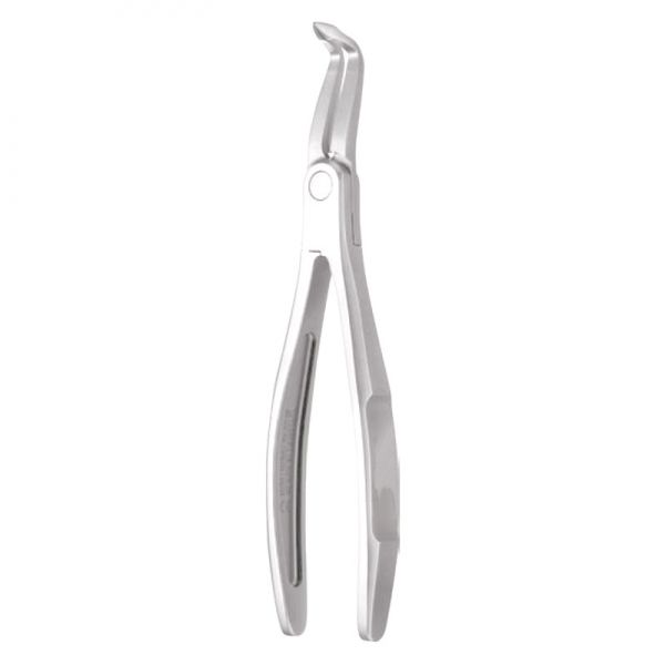 Root Forceps