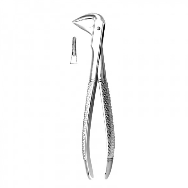 English Pattern Forceps