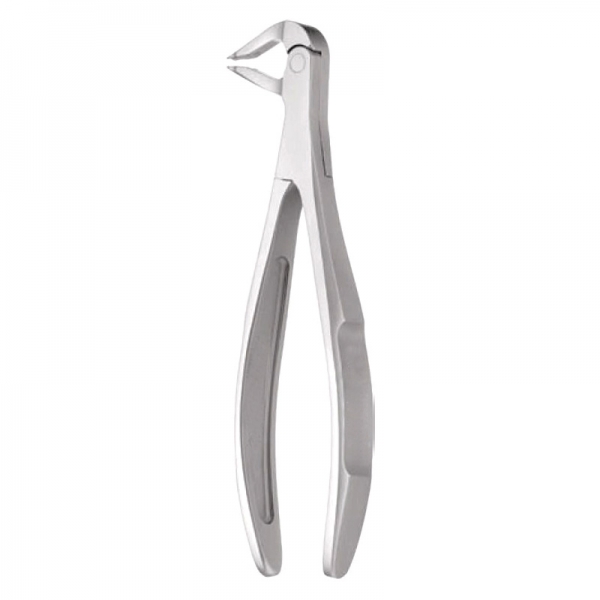 English Pattern Forceps