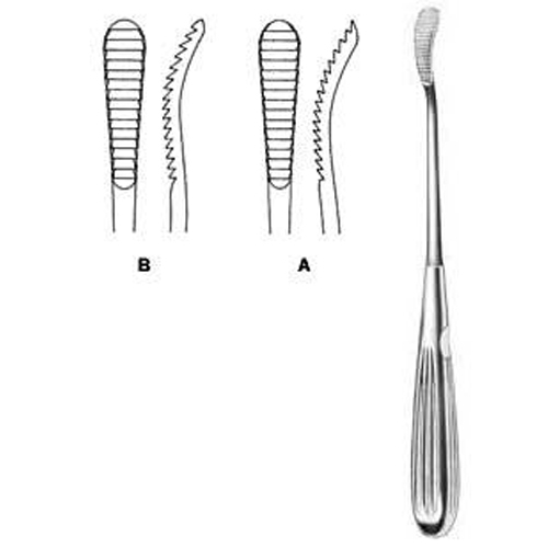 Rhinology