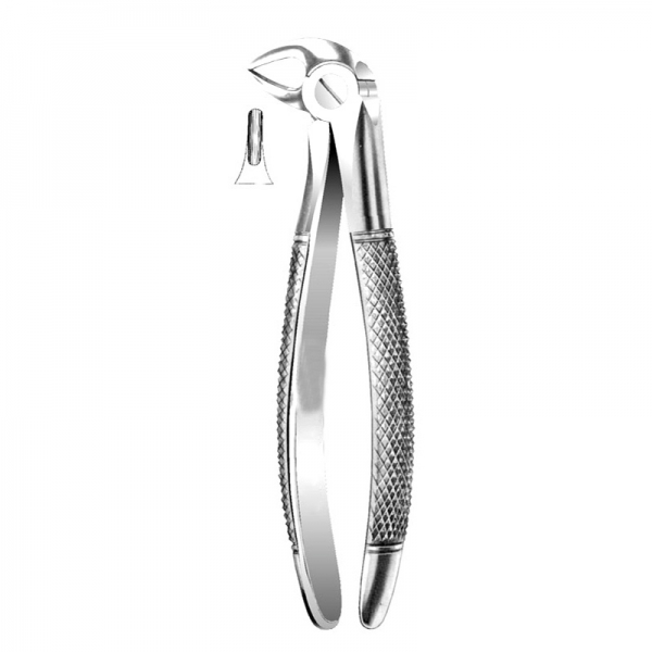 English Pattern Forceps