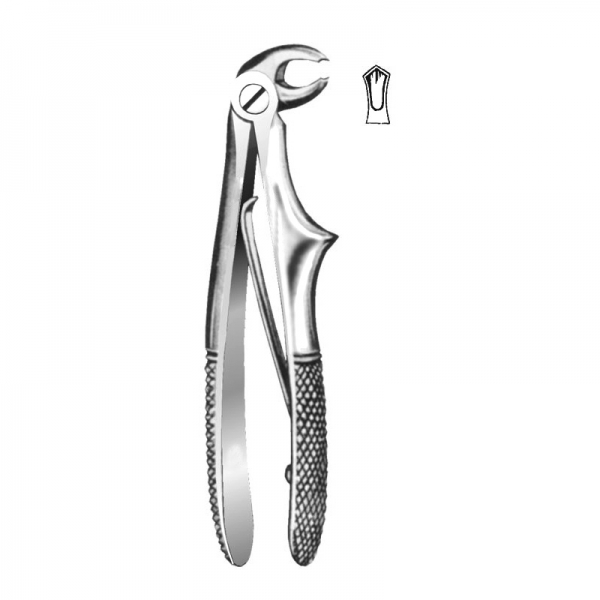 English Pattern Forceps